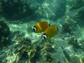 IMG_2651 (2)